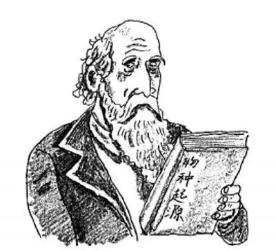 笔画人类进化的六个阶段图简笔画生物进化图简笔画达尔文头像的简笔画