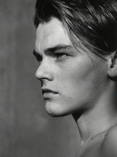 小李子变帅的美照