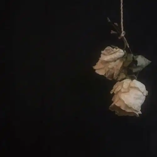 复古 配图 背景图