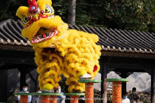 【大卫行摄】佛山醒狮,震撼人心的岭南文化瑰宝.