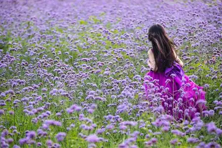 花海里在户外快乐玩耍的一家四口青年女人站在花海里浪漫夫妇站着花海