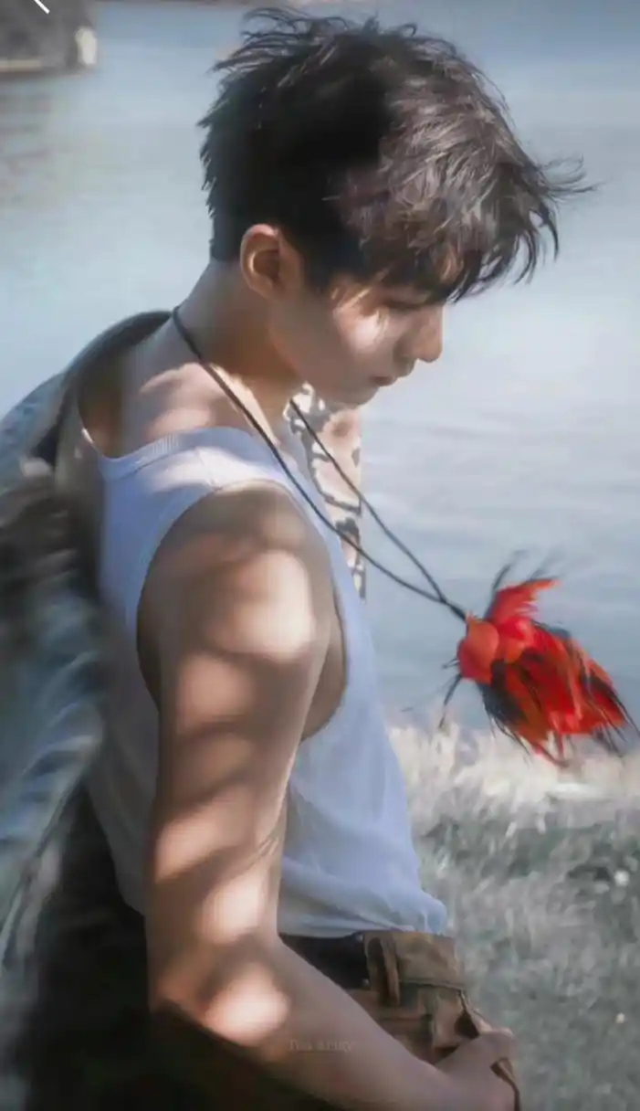 论那些一定要保存的#王俊凯# 神图[打call][打call][打call]#头像# #