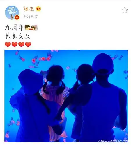 谢娜张杰一家四口背影照