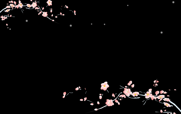 【转载】非常喜爱的闪动黑底背景