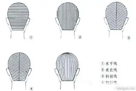 图文详解剪发美发基础美发初学者必看的知识