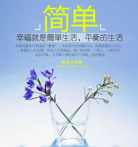 幸福是一种心情是简单生活是平衡的生活