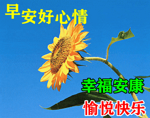 最漂亮早上好动态表情图片及动图美图大全风景无限好何惧近黄昏