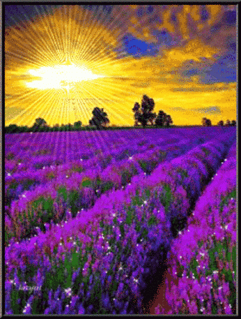 346_457竖版 竖屏gif 动态图 动图