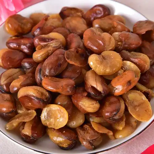 森林王国 蚕豆休闲食品小吃炒货零食品 厂家直销