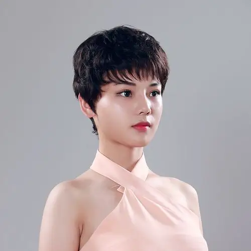 泓泰 真发假发女短发中老年假发真人发丝 女士假发套短卷发