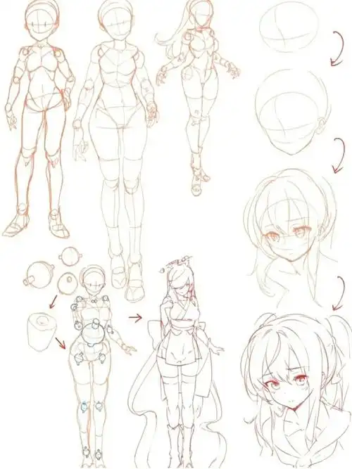 绘画参考人体动态结构躯干绘画线稿教程