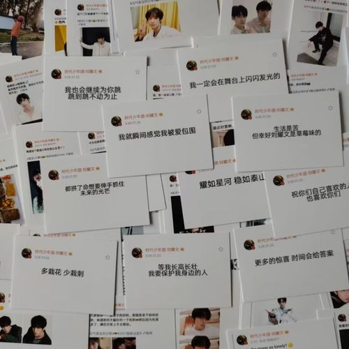 【原创刘耀文微博语录卡】饭制周边珍藏版语录卡100张