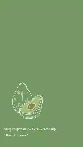 绿色系壁纸|如果全世界都对你恶语相向,我就对你说一世情话