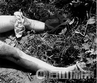 重启白银连环杀人案高承勇的变态之举-奇闻录