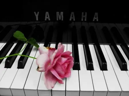 上海钢琴销售猫腻多二手钢琴网教您如何买钢琴