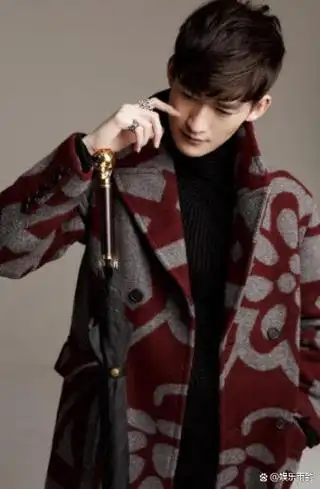 张瀚豪宅曝光看到客厅装修后网友和他霸道总裁的气质很符合