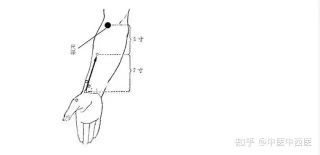 主治:定位:在肘区,肘横纹上,肱二头肌腱桡侧缘凹陷中.