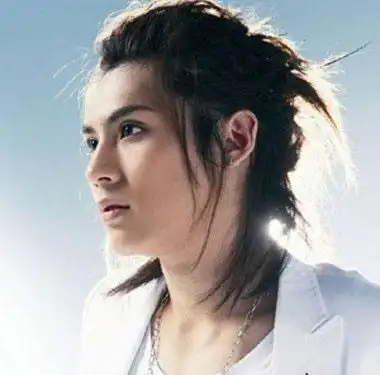 男生小辫子搭配什么发型能扎辫子的男生发型