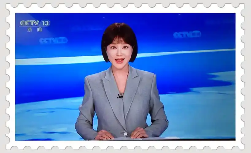 中央电视台主播及主持人的风采