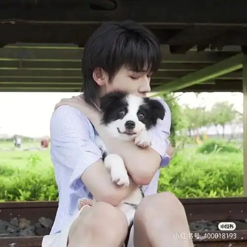 宋亚轩和鼠标的头像喜欢的集美快用起来吧