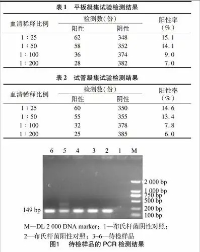 摘要:采用平板凝集试验,试管凝集试验对采自新疆3个集约化养殖鹿场,1