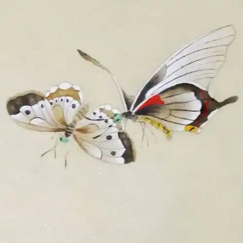 今天,教大家画一幅工笔兰花蝴蝶 | 九点画画工笔教程