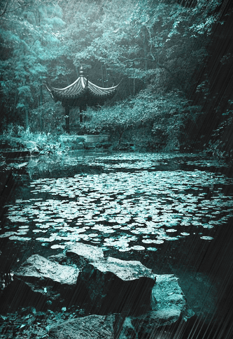 333_485竖版 竖屏gif 动态图 动图