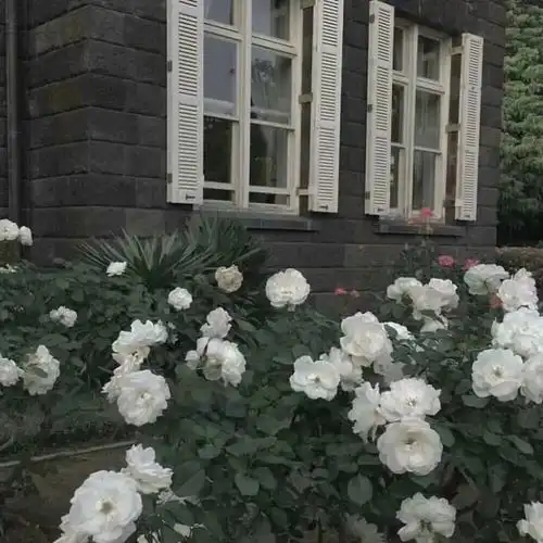 ins冷淡系朋友圈背景图