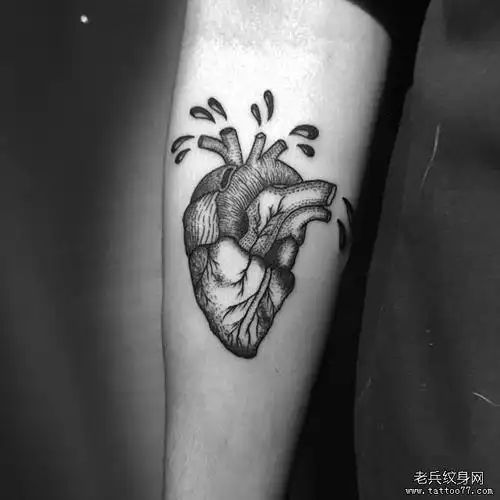 手臂色彩兔子纹身图案