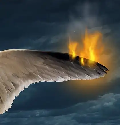 失去自由和失去自由的概念作为鸟 i>翼 /i>的羽毛在火焰中燃烧,作为