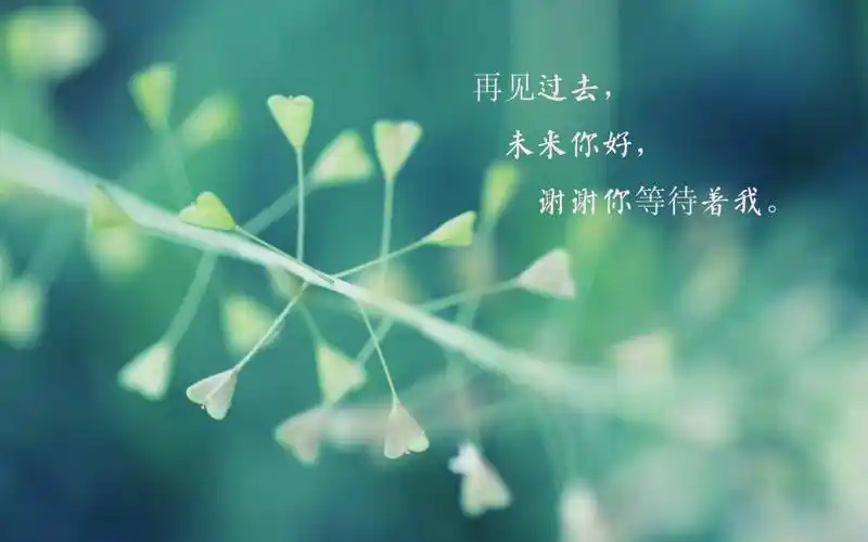 再见过去,未来你好