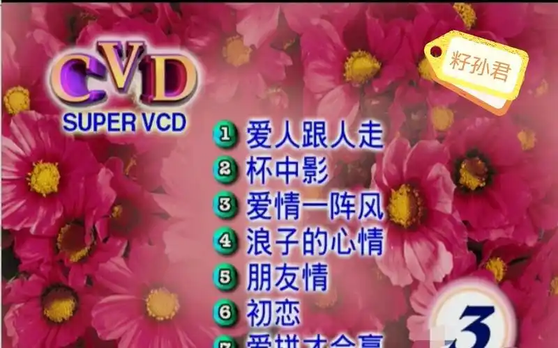金碟豹 十二大美女3 超级vcd版(cvd)_哔哩哔哩_bilibili