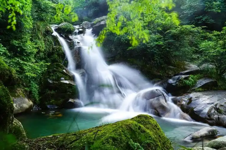 福寿山森林公园一日游掠影