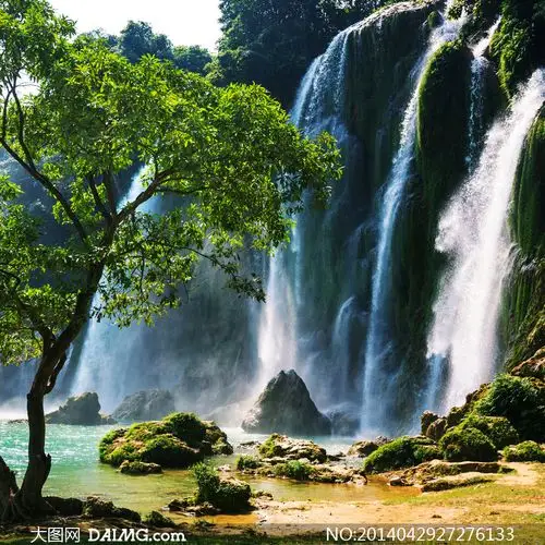 大树与倾泻而下的瀑布摄影高清图片_大图网图片素材
