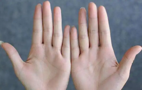 手上的生命线跟寿命有什么关系生命线详解