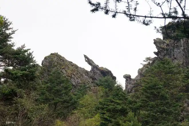 武当一剑取景地美女照镜生命之根野人头你看到了吗