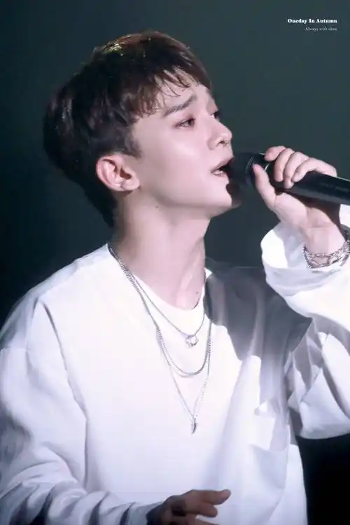 原创exo金钟大亮相sm演唱会能否兼顾育儿和活动书写偶像界新历史