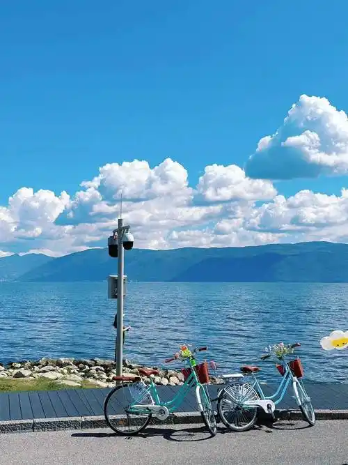 报团去厦门旅游详细攻略及费用,南普陀5日游花费多少_城市_小陈_咨询