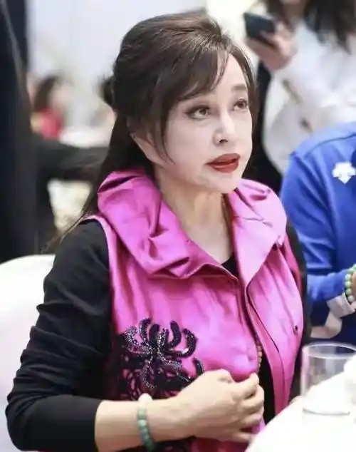 收手吧,刘晓庆!