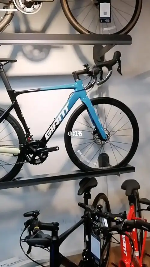 捷安特公路自行车