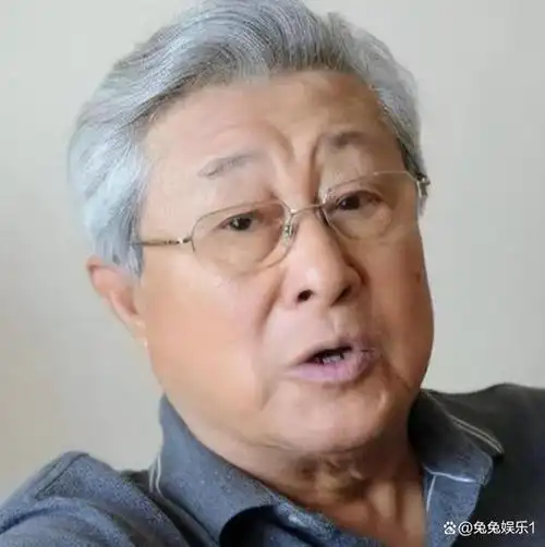 王心刚的故事,让我们看到了一个男演员在娱乐圈中的坚韧与真实.