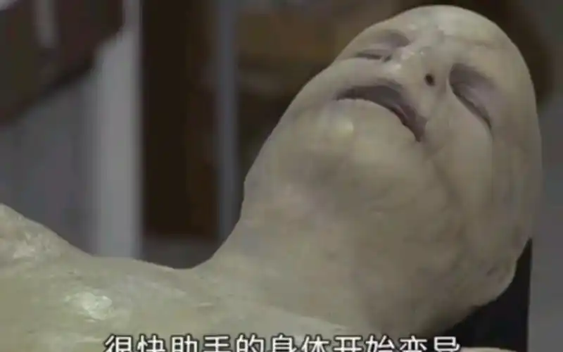 科学家高薪诱骗小伙做实验结果小伙变成蛇人