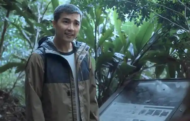 登顶热搜榜首林依晨许玮甯联手新作揭开成人世界伪装的面纱