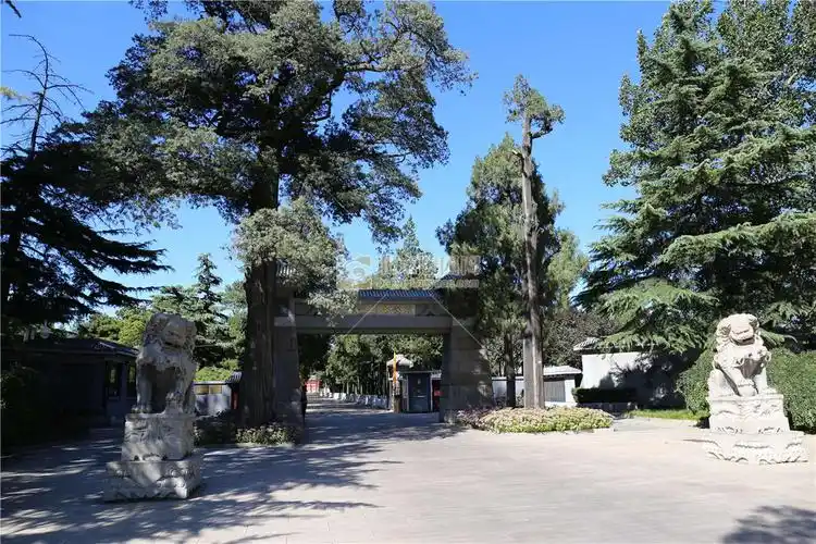 八宝山革命公墓墓地图片大全