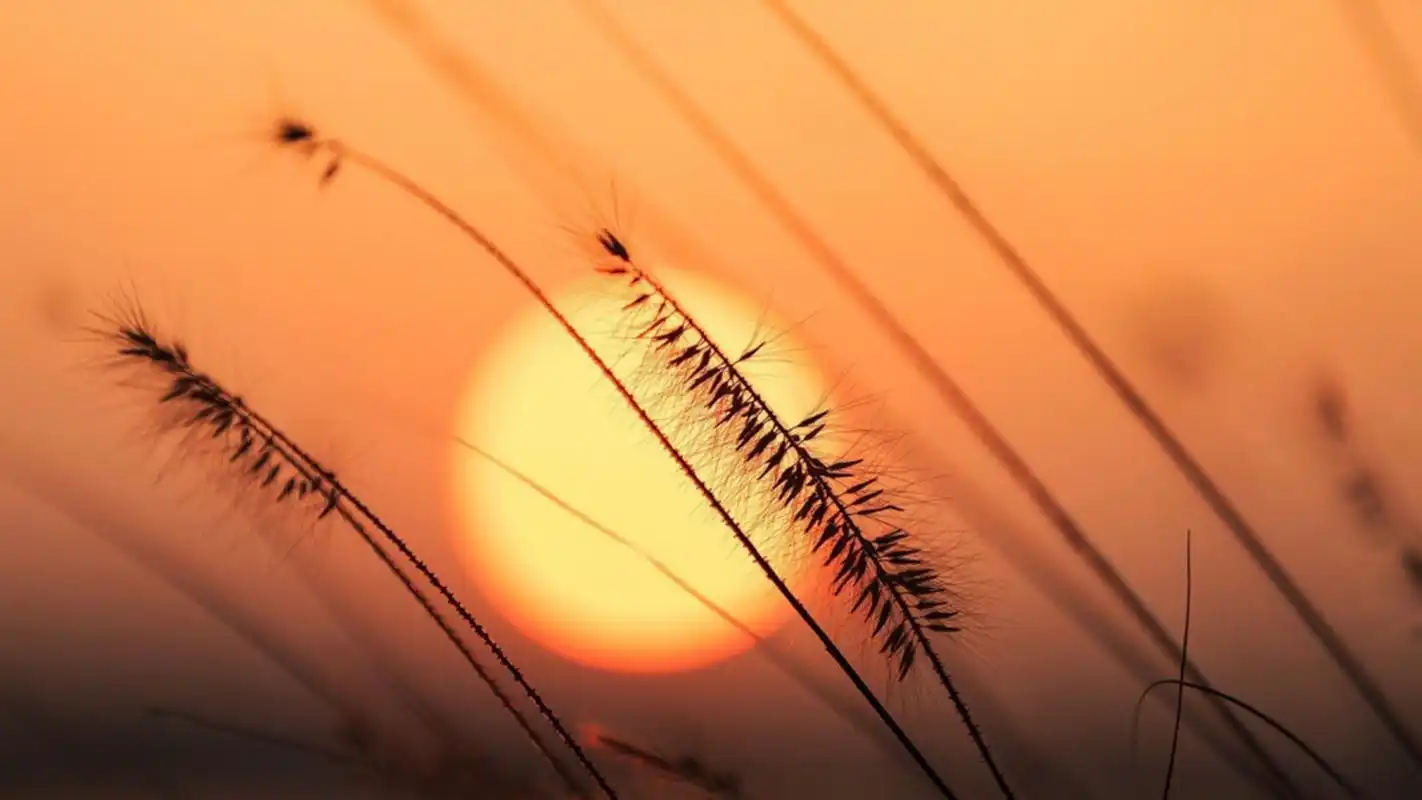 落日黄昏唯美自然风光高清桌面壁纸