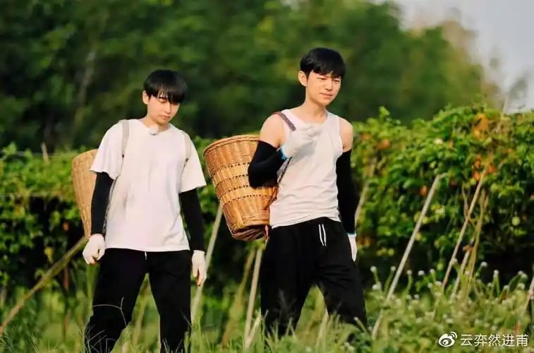 《向往的生活5》收官,4大细节暗示我们可能没有第六季