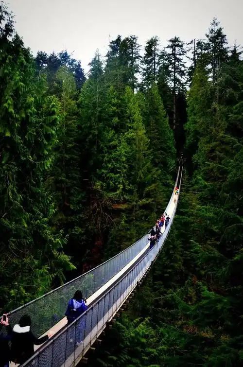 五月,温哥华会许给你一个全星球最美的春天!