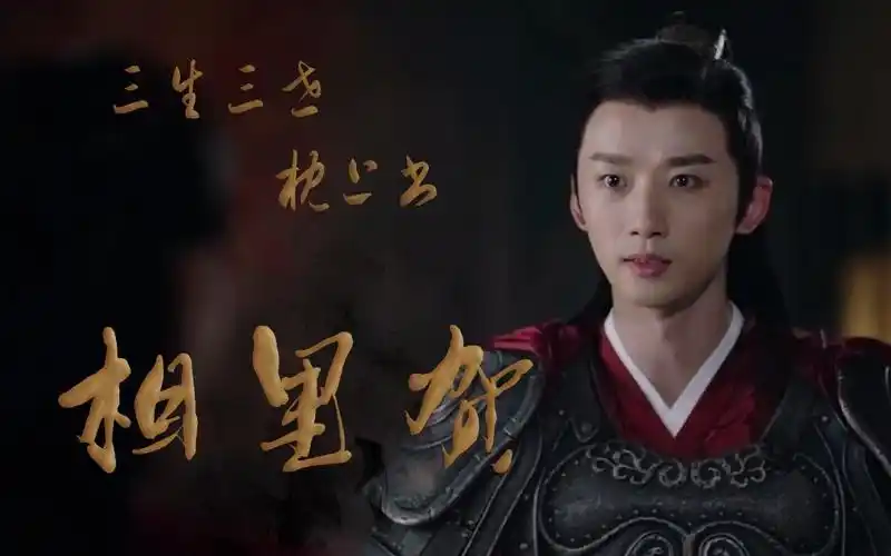 【三生三世枕上书 | 相里贺】李泊文比翼鸟族相里贺1分半个人燃向混剪