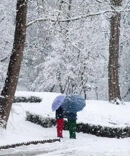 在静静的赏雪,他们已站了多时,许是触景生情在回忆着甜蜜的往事