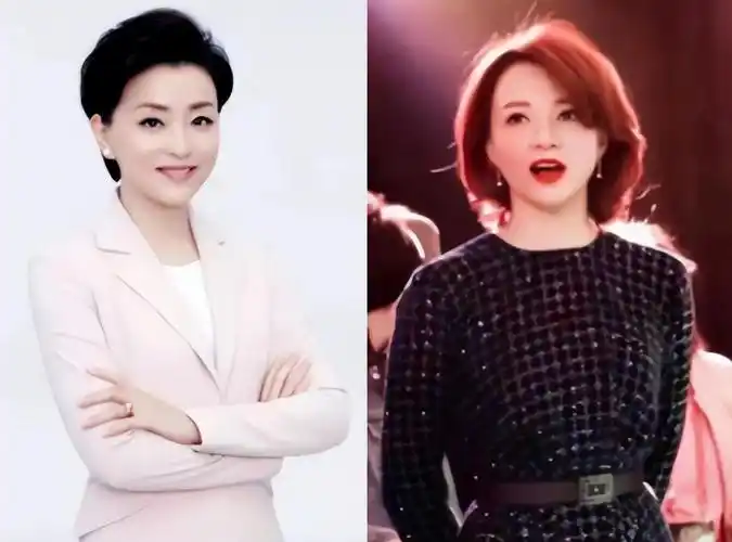同是央视主持人55岁杨澜和50岁董卿已走上两条截然不同的路